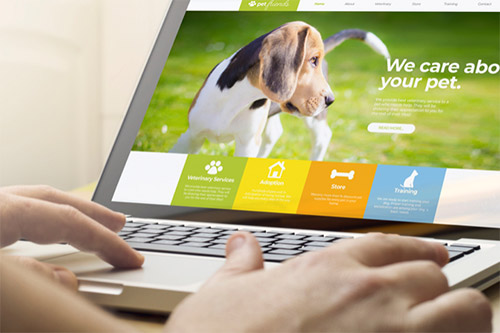 laptop _pup