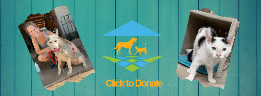 Donate-sml
